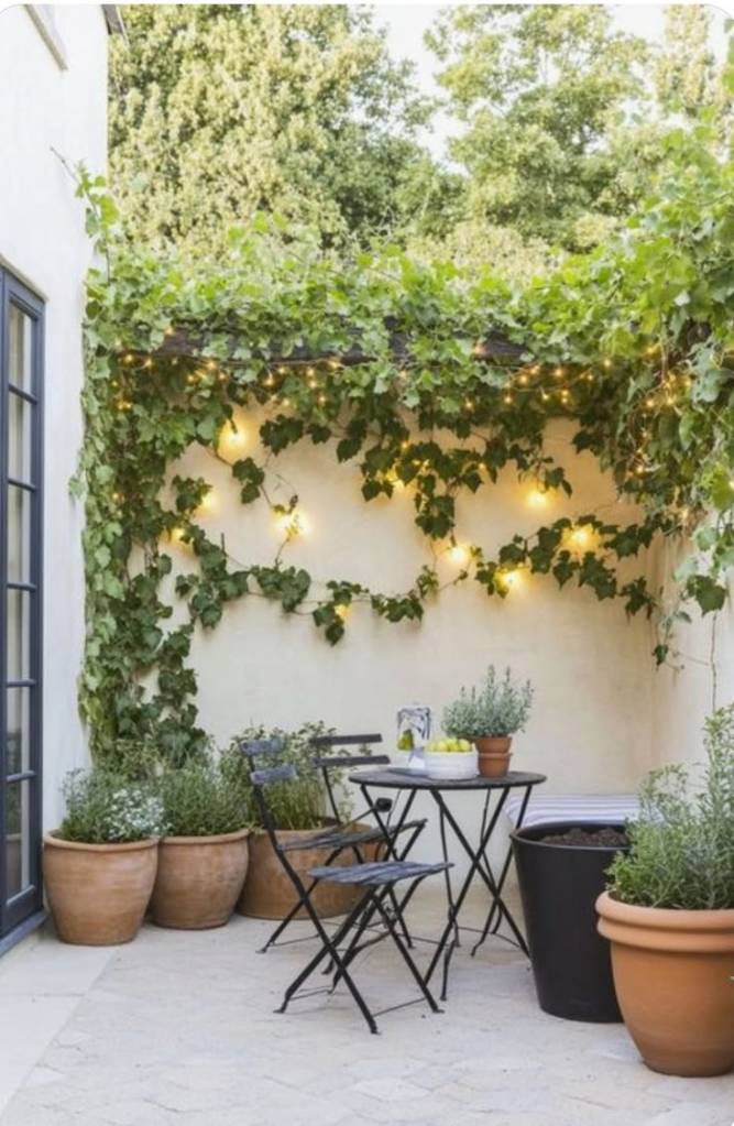 alt =  aménagement décoration espace extérieur terrasse plantes méditerranéennes
